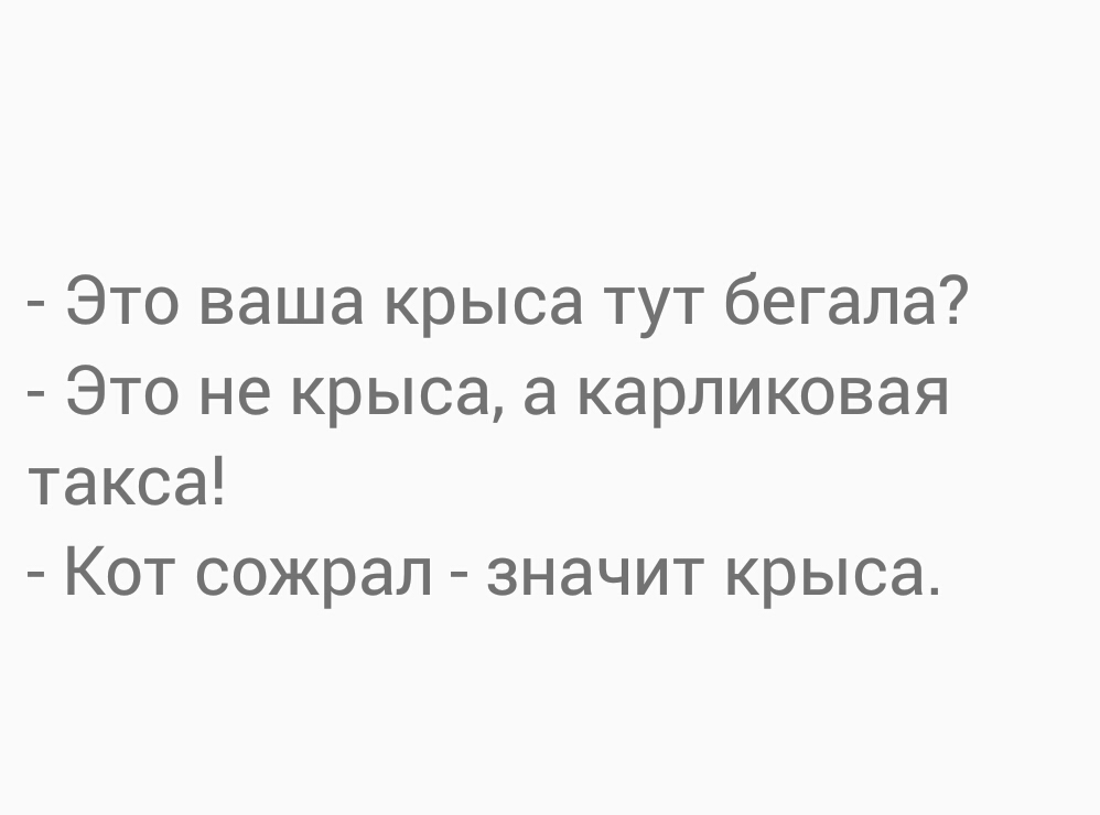 Это ваша крыса тут бегала Это не крыса а карликовая такса Кот сожрал значит крыса