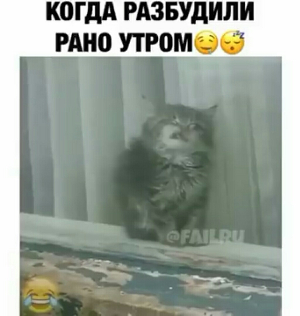 Рано разбудишь