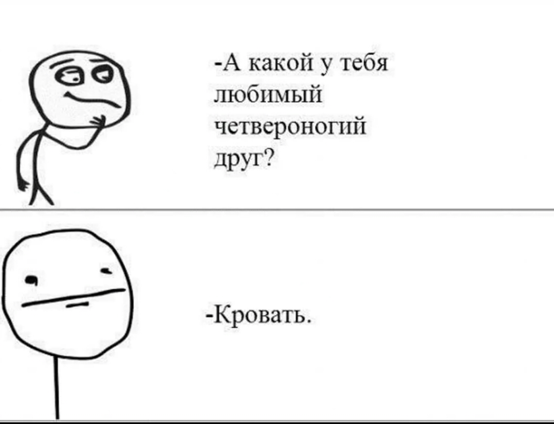 А какой у тебя любимый четвероногий друг Кровать