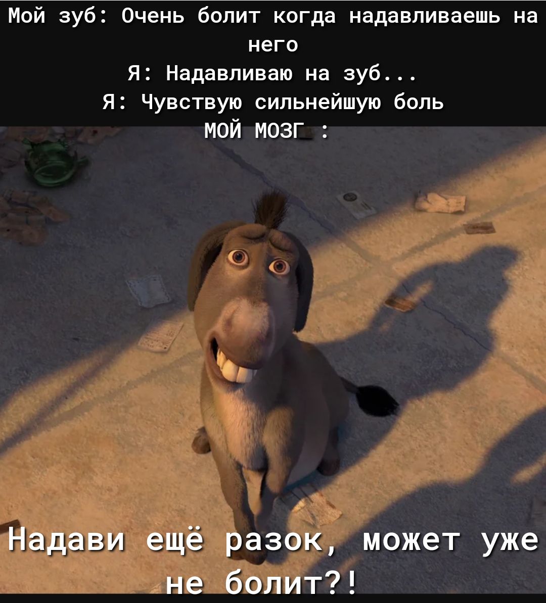 Мой зуб Очень болит когда надавливаешь на него Я Надавливаю на зуб Я Чувствую сильнейшую боль мой мозг Надави ещё разок может уже не болит