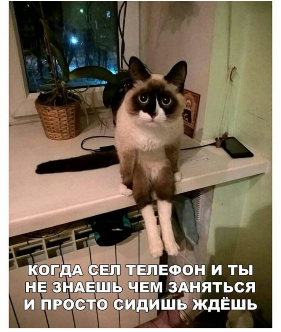 _ Ё 3 і КОГДА ЁЁЬ ТЁЛЕФОН И ТЫ НЕ 3НМЕЁЬ чЕм зЪняться И ПРОСТО СИДИШБ ЖдЁШЬ