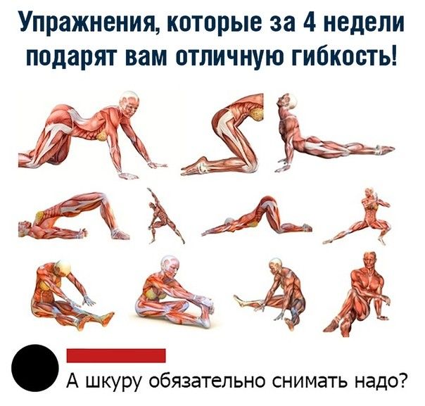 Упражнения которые за 4 недели подарят вам отличную гибкость мЬЬ ххЬ ЬЬАА А шкуру обязательно снимать надо