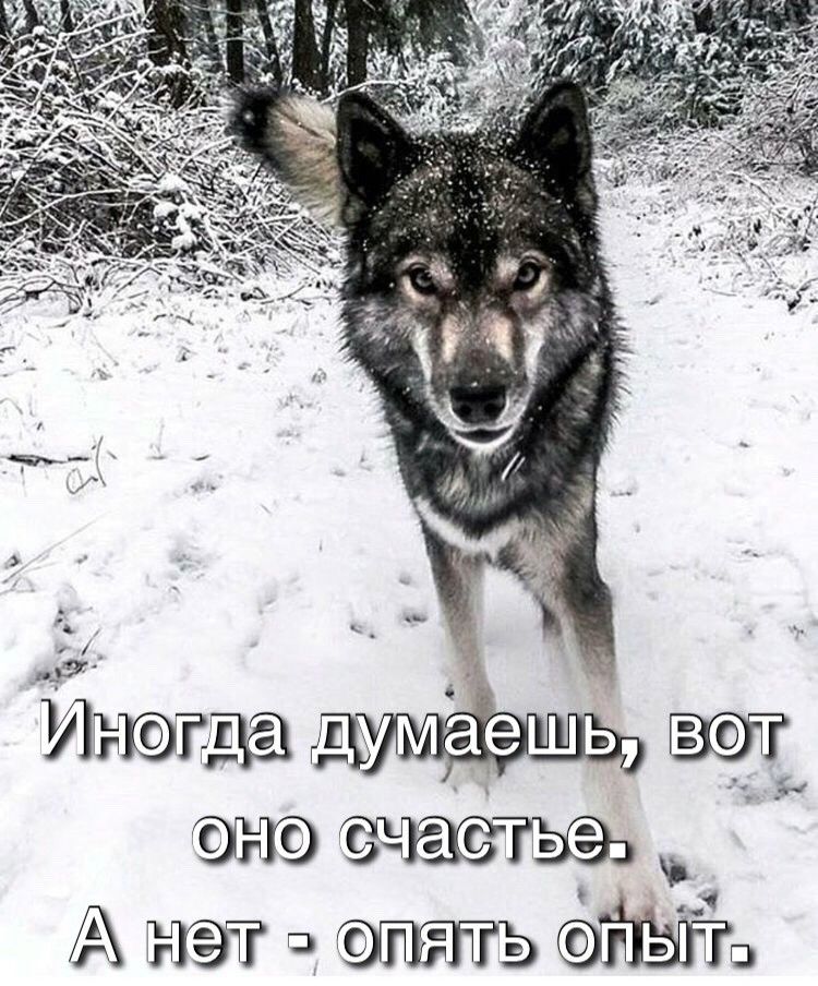 спс тыэз АТъьв