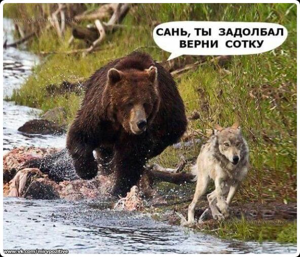 САНЬ ТЫ ЗАДОПБАЛ ВЕРНИ СОТКУ
