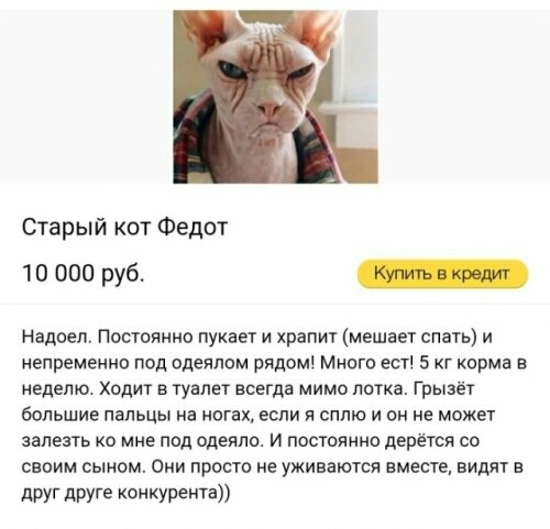 Старый кот Федот то 000 руб _ Надоел Постоянно пукает и храпит мешает спать и непременно под одеялом рядом Много ест 5 кг корма в неделю ходит в туалет всегда мимо лотка Грызёт большие пальцы на ногах если я сплю и он не может залезть ко мне пид одеяла и постоянно дерется со своим сыном Они просто не уживаются вместе видят в друг друге конкурента