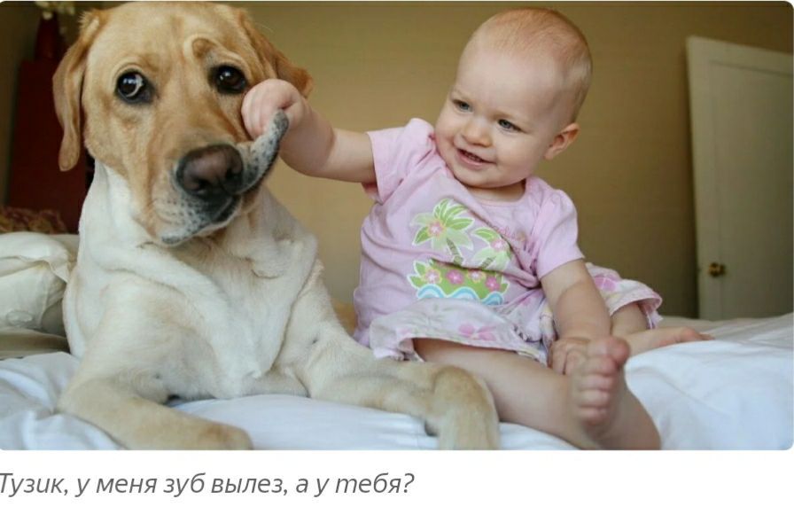 Тузик у меня зуб вылез а у тебя