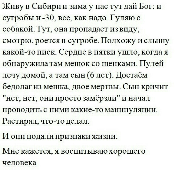 ЖИву в СИбИрИ И зИма у нас тут дай Бог И сугробы И 30 все как надо Гуляю с собакой Тут она пропадает ИЗ вИду смотрю роется в сугробе Подхожу И слышу какойто писк Сердце в пятки ушло когда я обнаружилатам мешок со щенками Пулей лечу домой а там сын 6 лет Достаём бедолаг из мешка Двое мертвы Сын КрИЧИТ нет нет они просто замёрзли И начал проводить с НИМИ какието манипуляции Растирал чтото делал И ОН