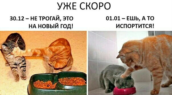 УЖЕ СКОРО 3012 НЕ ТРОГАЙ это 0101 ешь А 10 НА новый год испортитст