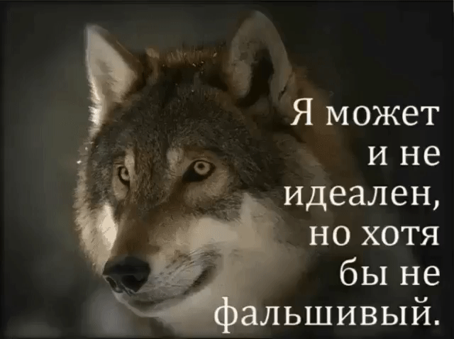 Я может и не идеален _ но хотя бы не льшивый