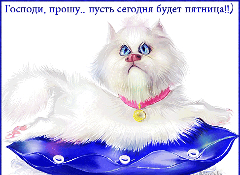 Господи прошу пусть сегодня будет пятница