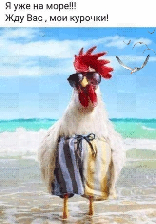 Я уже на море Жду Вас мои курочки