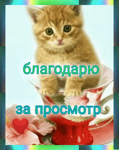 за просмфр