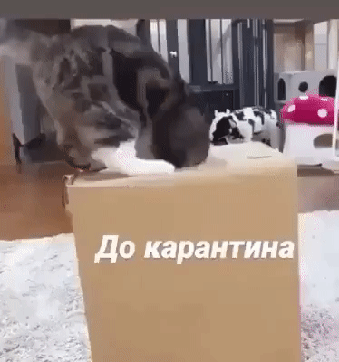 На т