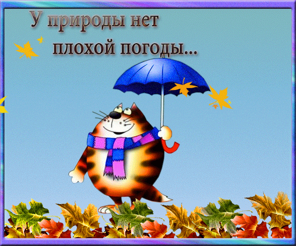 У ириреды нет плохой пого