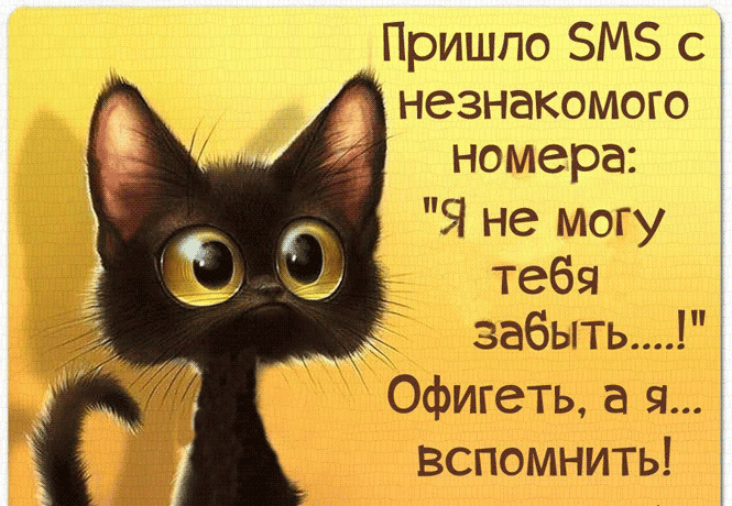 Пришло ЗМЗ с незнакомого номера Я не могу тебя П _ забыть Офигеть а я вспомнить