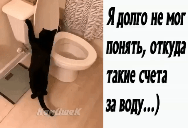 _Я долго не мог понять откуда такие счета заводу