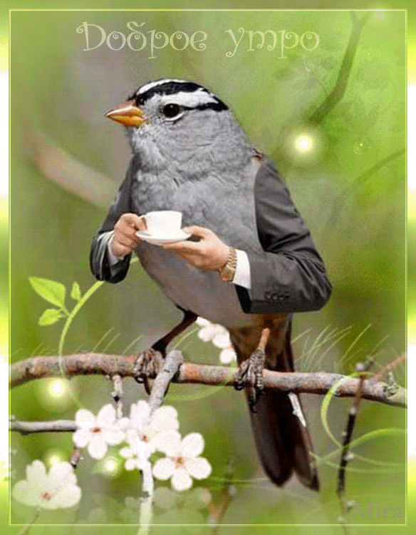 Эрое ур о  феё, 4  щи э; ' а