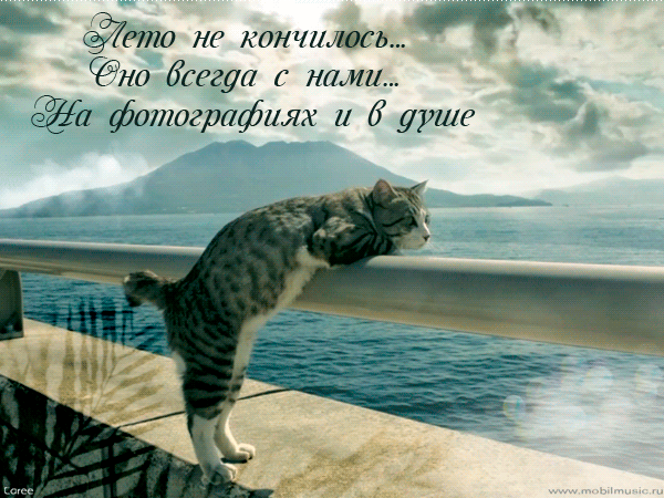 _ это не кончилось но бсггуа с ними а фотографиях и д уушг