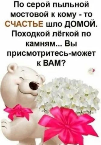 По серой пыльной мостовой к кому то СЧАСТЬЕ шпо домой Походкой лёгкой по камням Вы присмотритесь может к ВАМ О Я