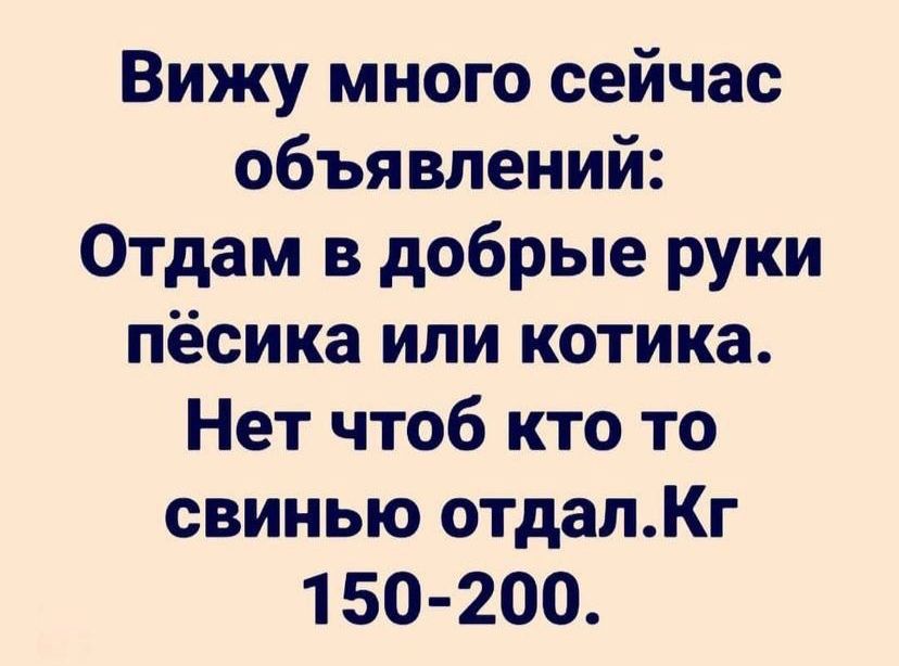 Вижу много сейчас объявлений Отдам в добрые руки пёсика или котика Нет чтоб кто то свинью отдалКг 1 50 200