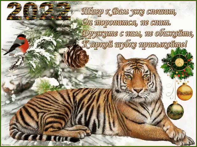 _ Ё этти 130 В гадит Ё Мтдёгжт 7