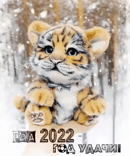 2022 ЖДАЧПШ