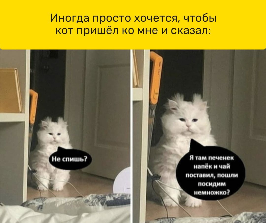 Я им печени идпёк и чий пост вип пошли посиди немножко