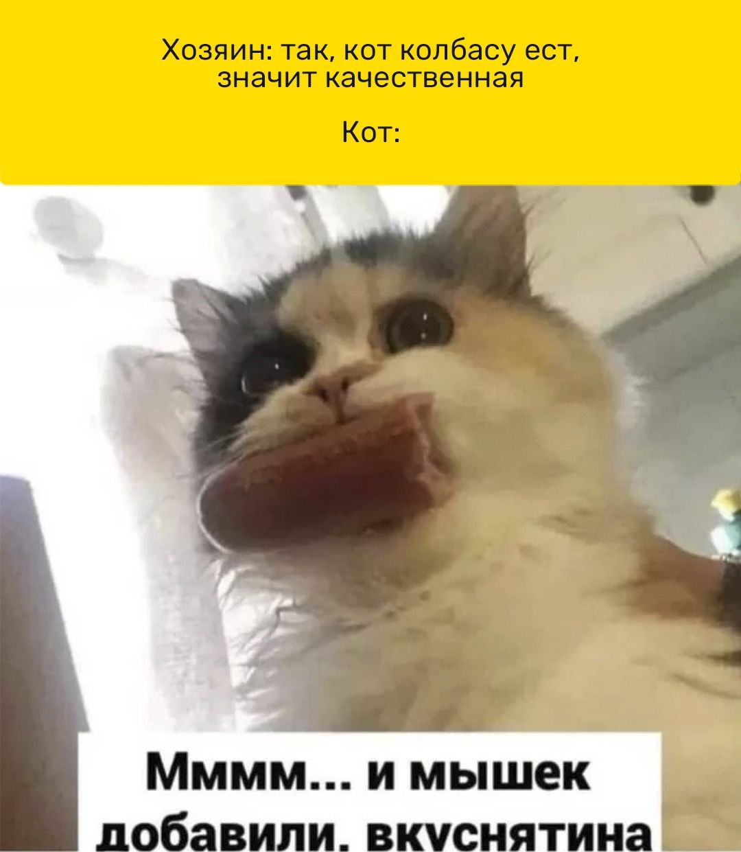Мммм и мышек іобавиливкчснятина