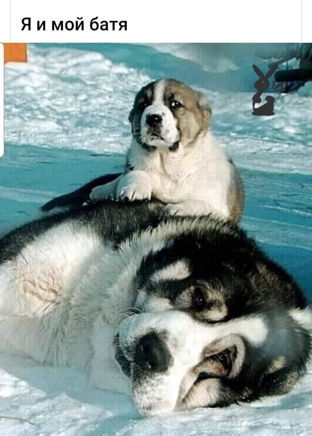 Я и мой батя 7 Щ