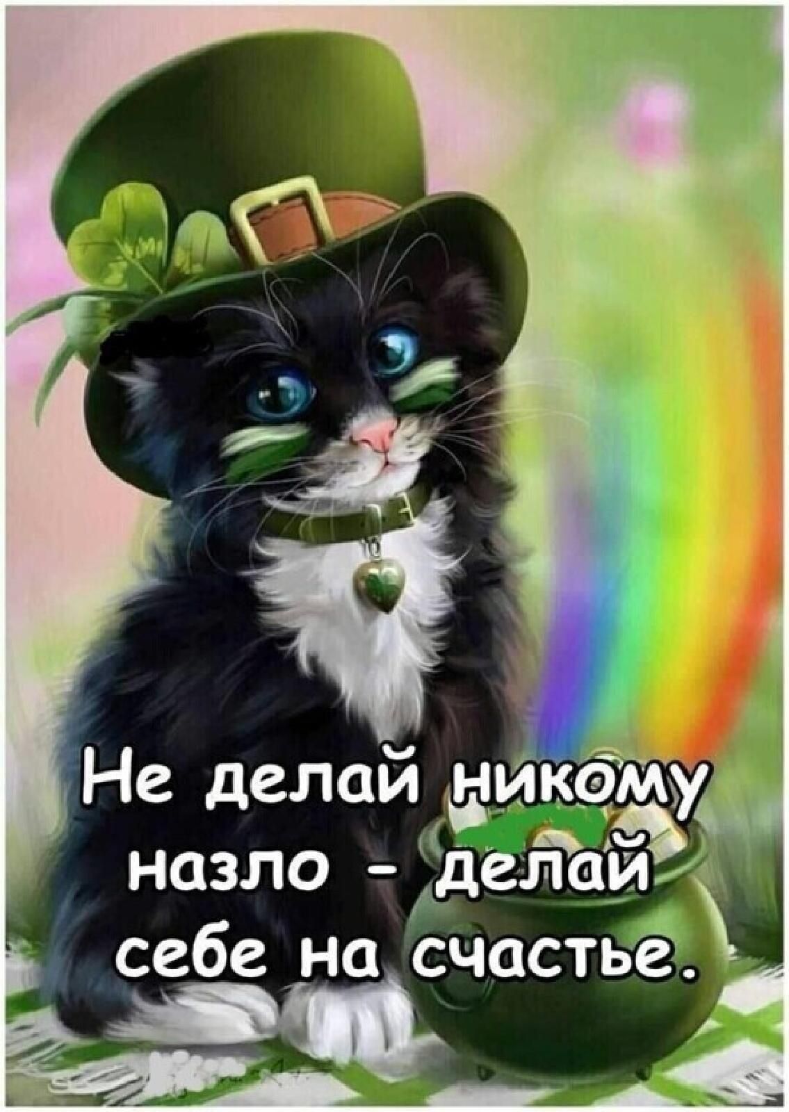 Не делай цик  назло  делай себе на счастве! Аы