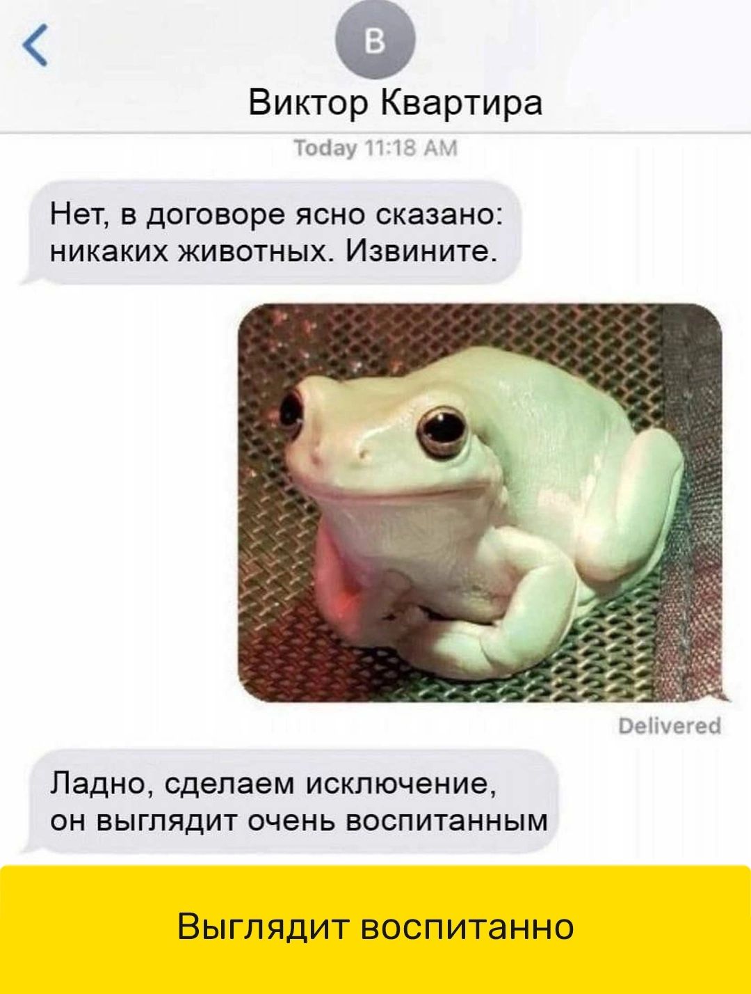 Виктор Квартира Тоаау П 1 Нет В ДОГОВОРЭ ЯСНО сказано НИКЭКИХ ЖИВОТНЫХ Извините Оеіічегеа Ладно сделаем исключение он выглядит очень воспитанным ВЫГЛЯДИТ ВОСПИТаННО