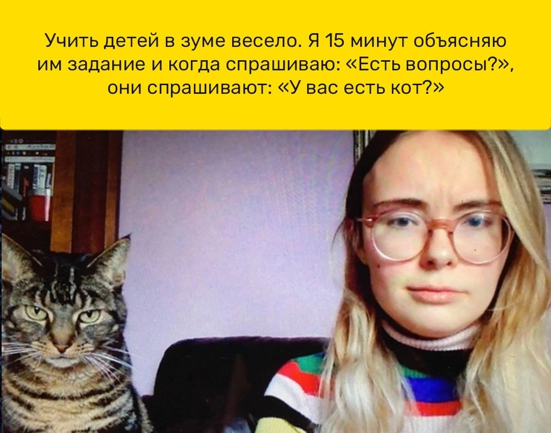 Учить детей в зуме весело Я 15 минут объясняю им задание и когда спрашиваю Есть вопросы они спрашивают У вас есть кот