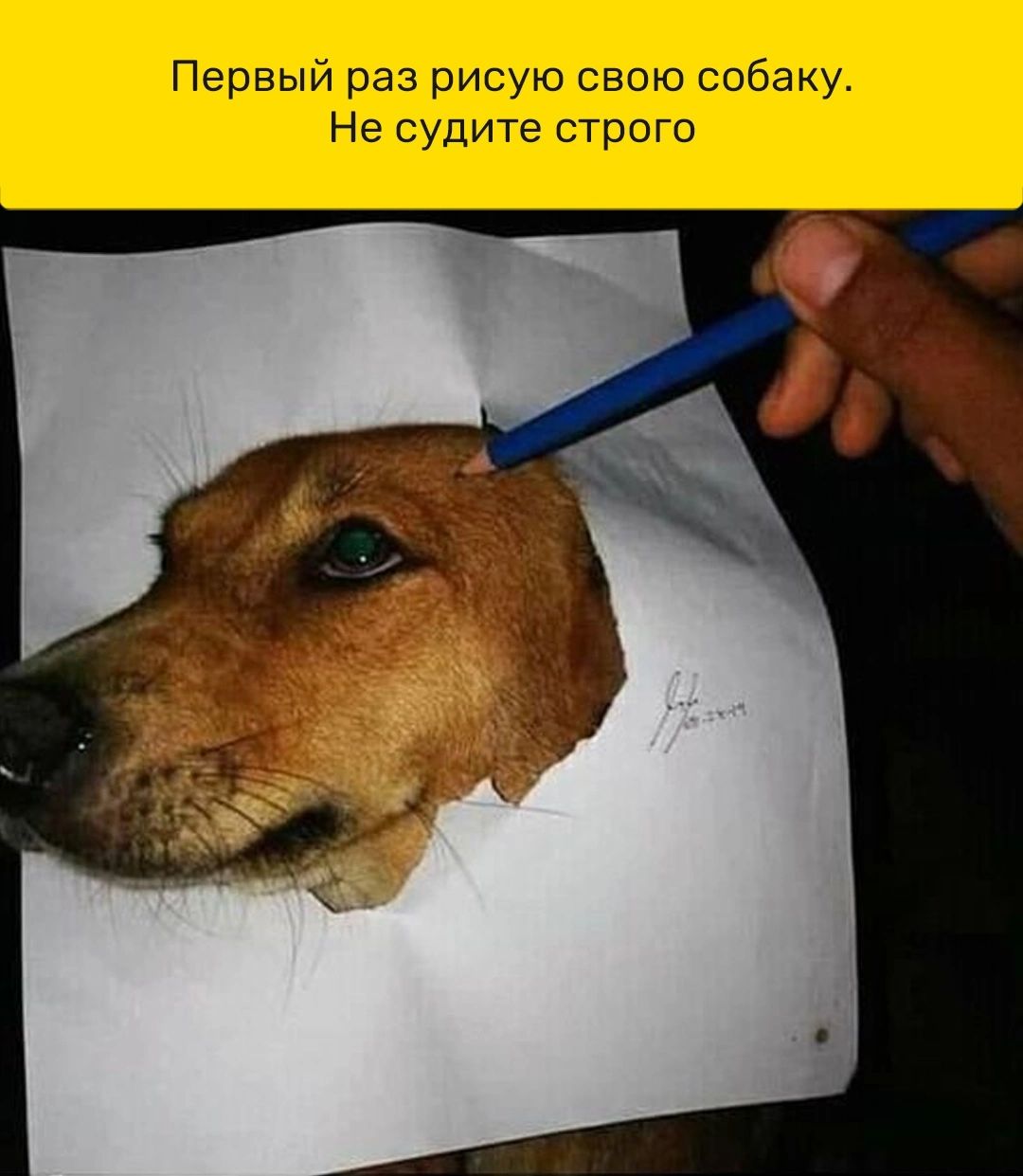 Первый раз рисую свою собаку. Не судите строго