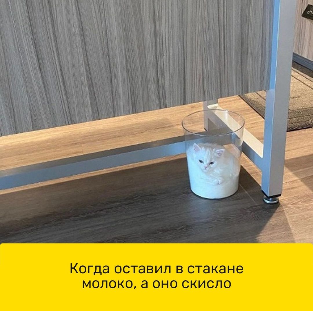 Когда оставил в стакане молоко, а оно скисло