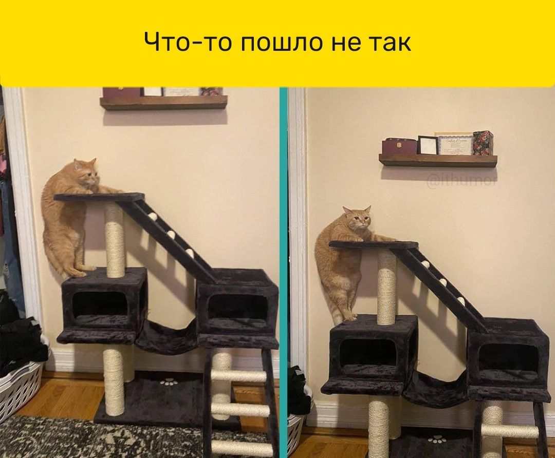 Чтото пошло не так