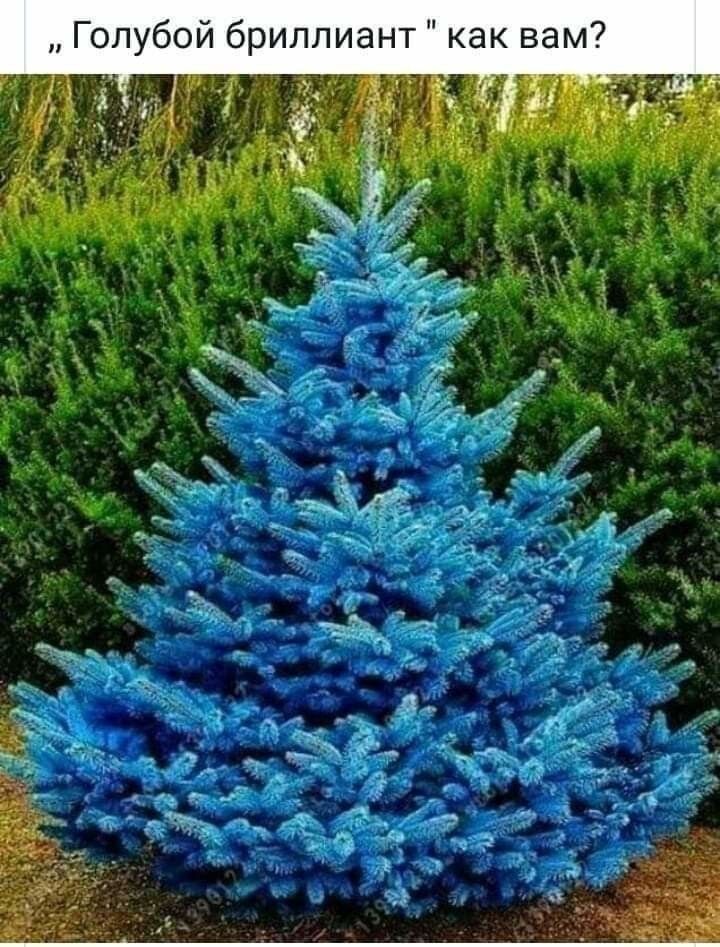 Голубой бриллиант как вам
