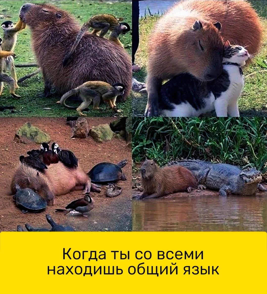 Когда ТЫ СО всчеми НЭХОДИШЬ ОбЩИИ ЯЗЫК