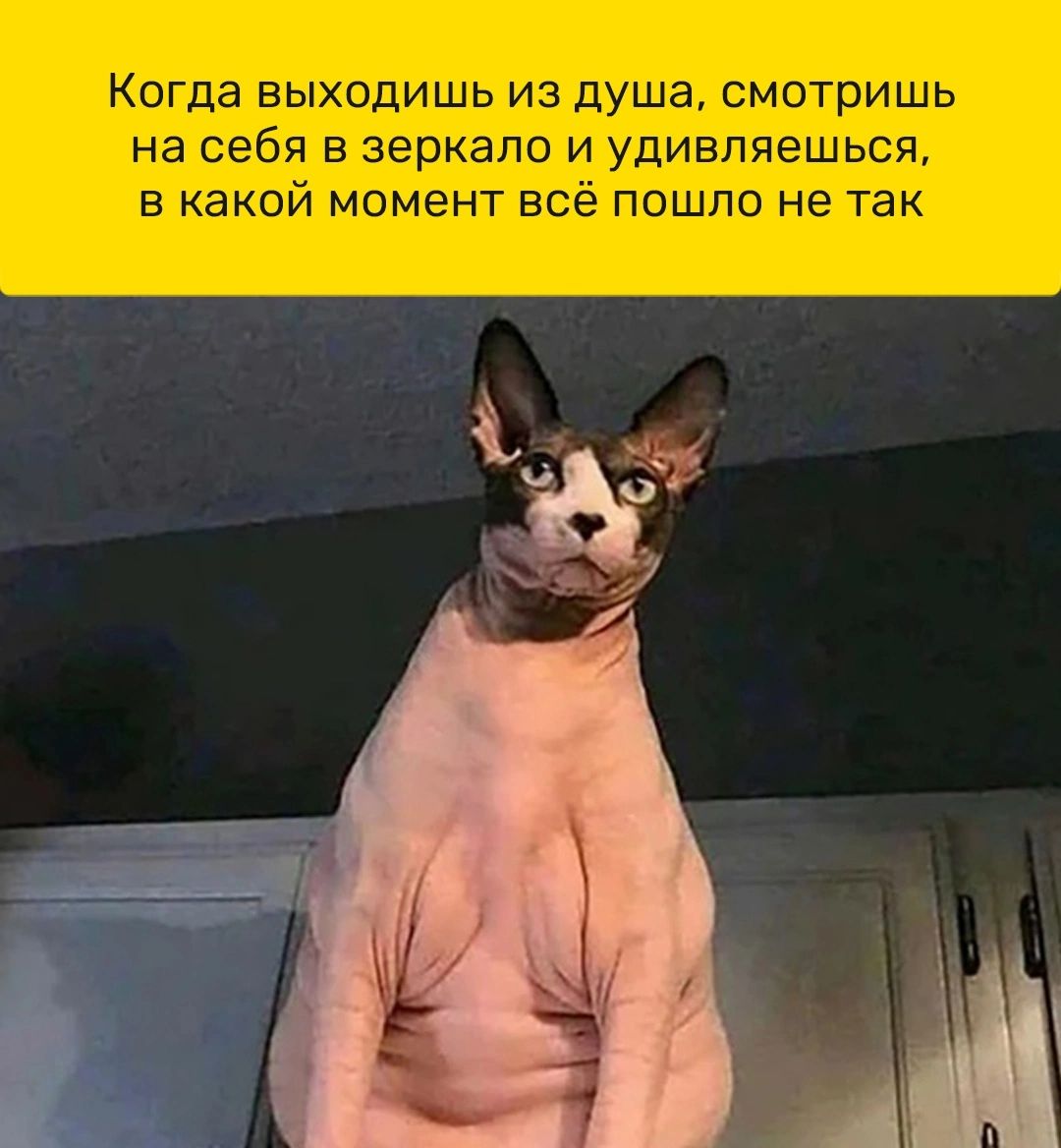 Когда ВЫХОДИШЬ ИЗ ДУШд СМОТРИШЬ Нд себя В зеркало И УДИВЛЯЭШЬСЯ В какой МОМЕНТ ВСё ПОШЛО не ТЭК