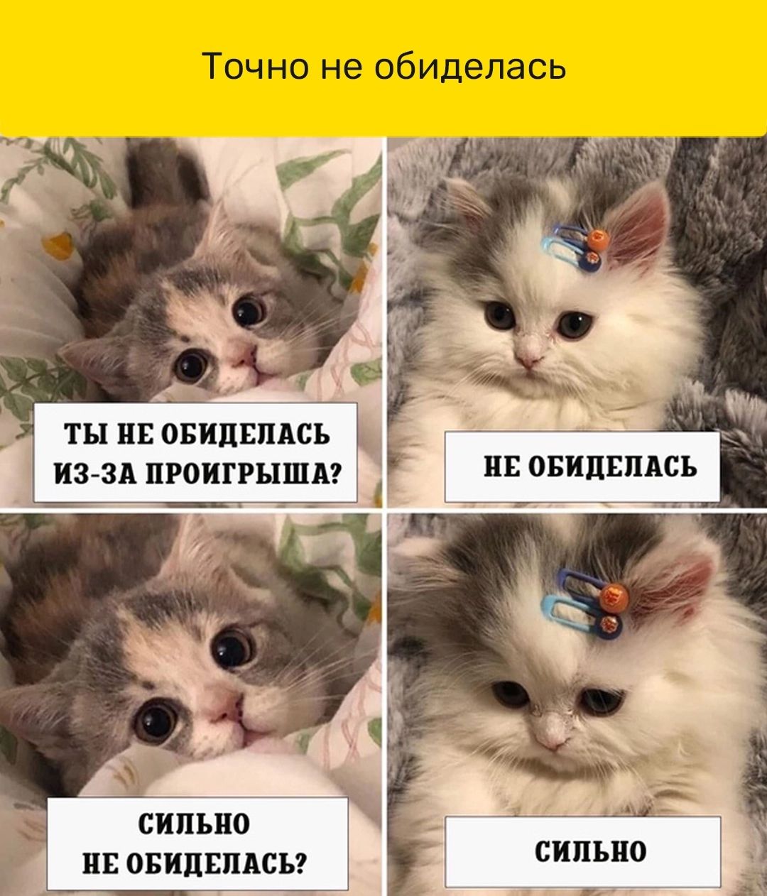 Точно не обиделась ТЫ НЕ ОБИПЕПАСЪ ИЗ ЗА ПРОИГРЫША с пъно нв овипвпдсьг