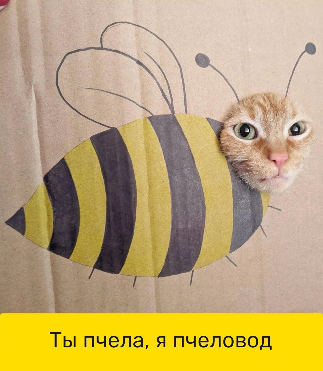 Ты пчела я пчеловод