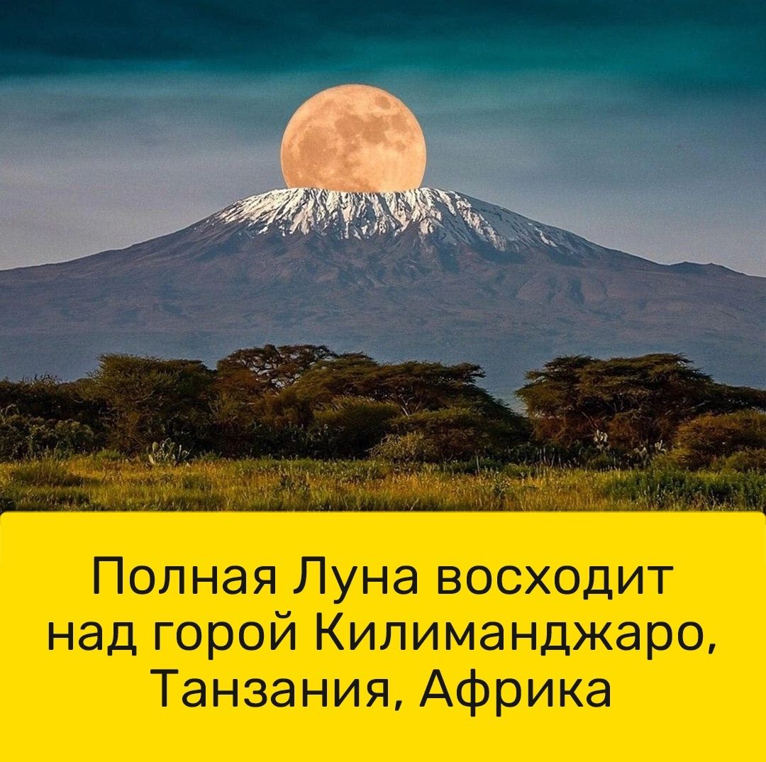 Полная Луна восходит над горой Килиманджаро Танзания Африка