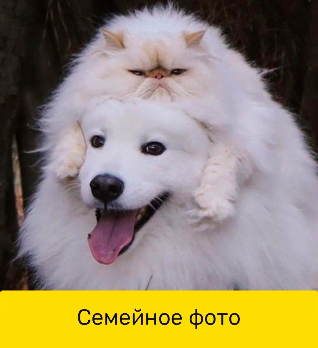 Ь Семейное фото