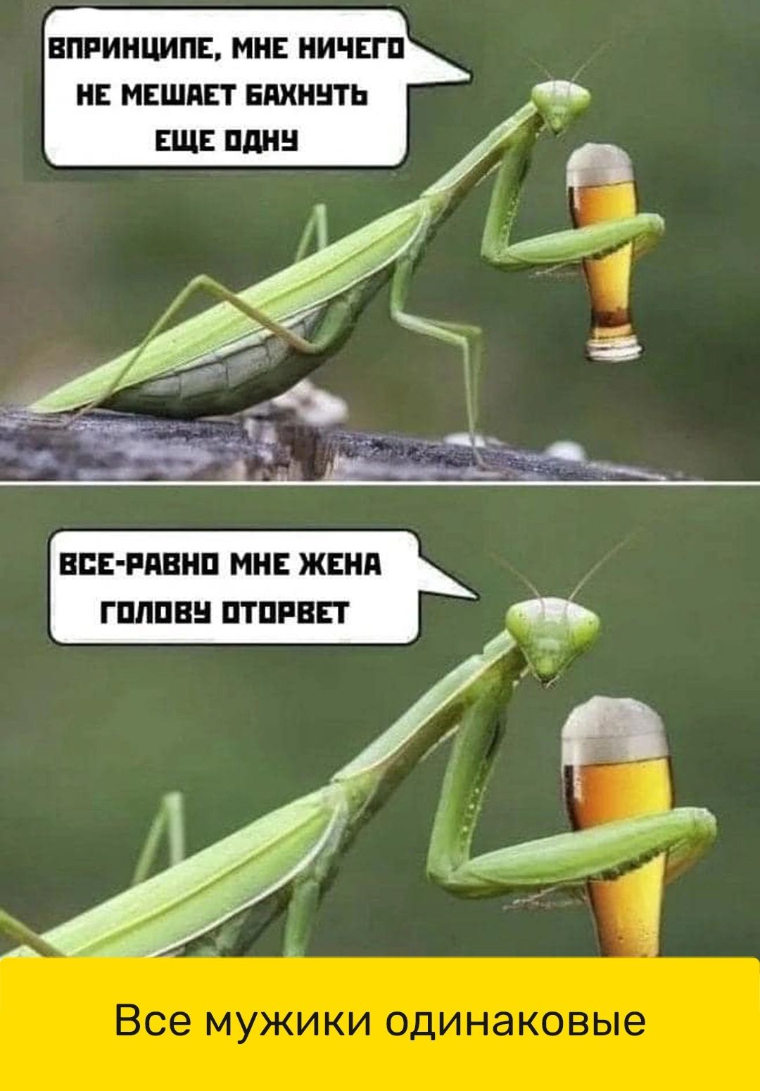 ВПРИНЦИПЕ МНЕ НИЧЕГП НЕ МЕШАЕТ ЕПХННТЬ ЕЩЕ ПДН ВПЕ РдВНП МНЕ ЖЕНд ГШШВН ПТШВЕТ