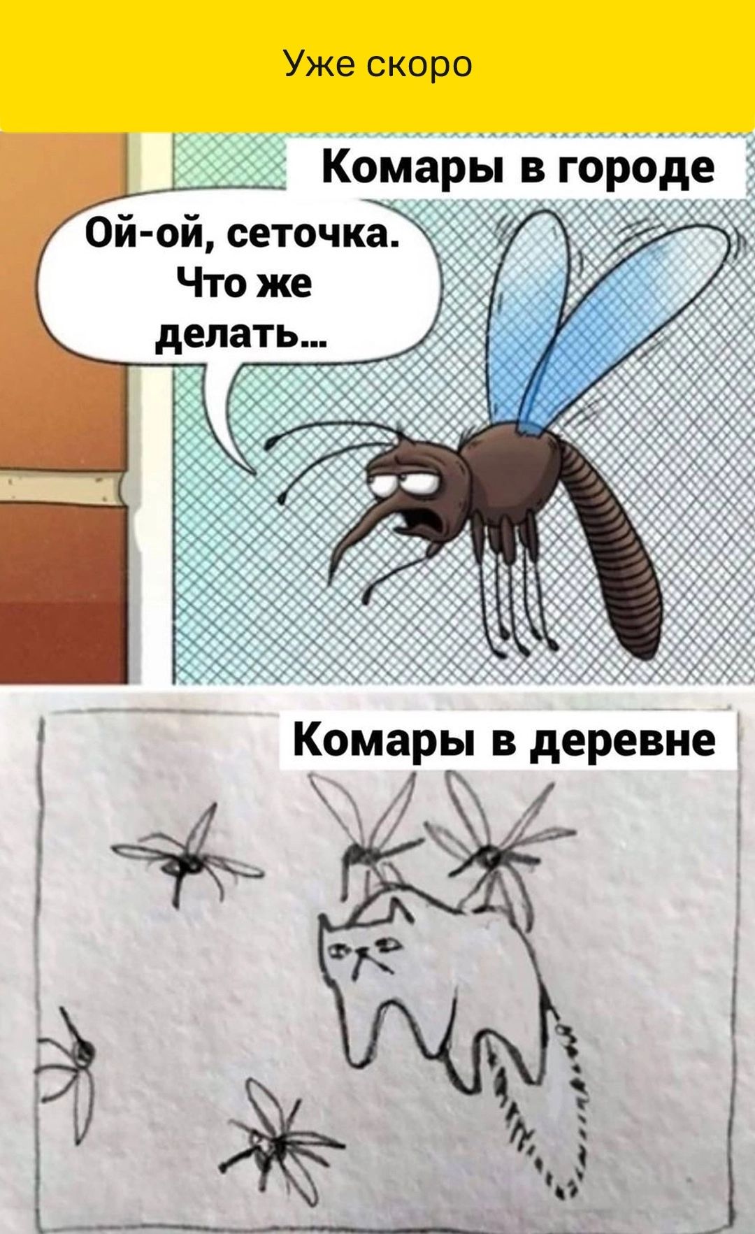Уже скоро Комары вгороде Ой ой сеточкаЦ Что же делать к_____