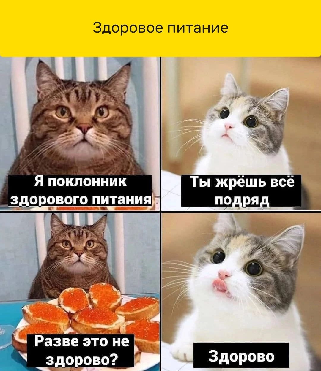 Здоровое питание