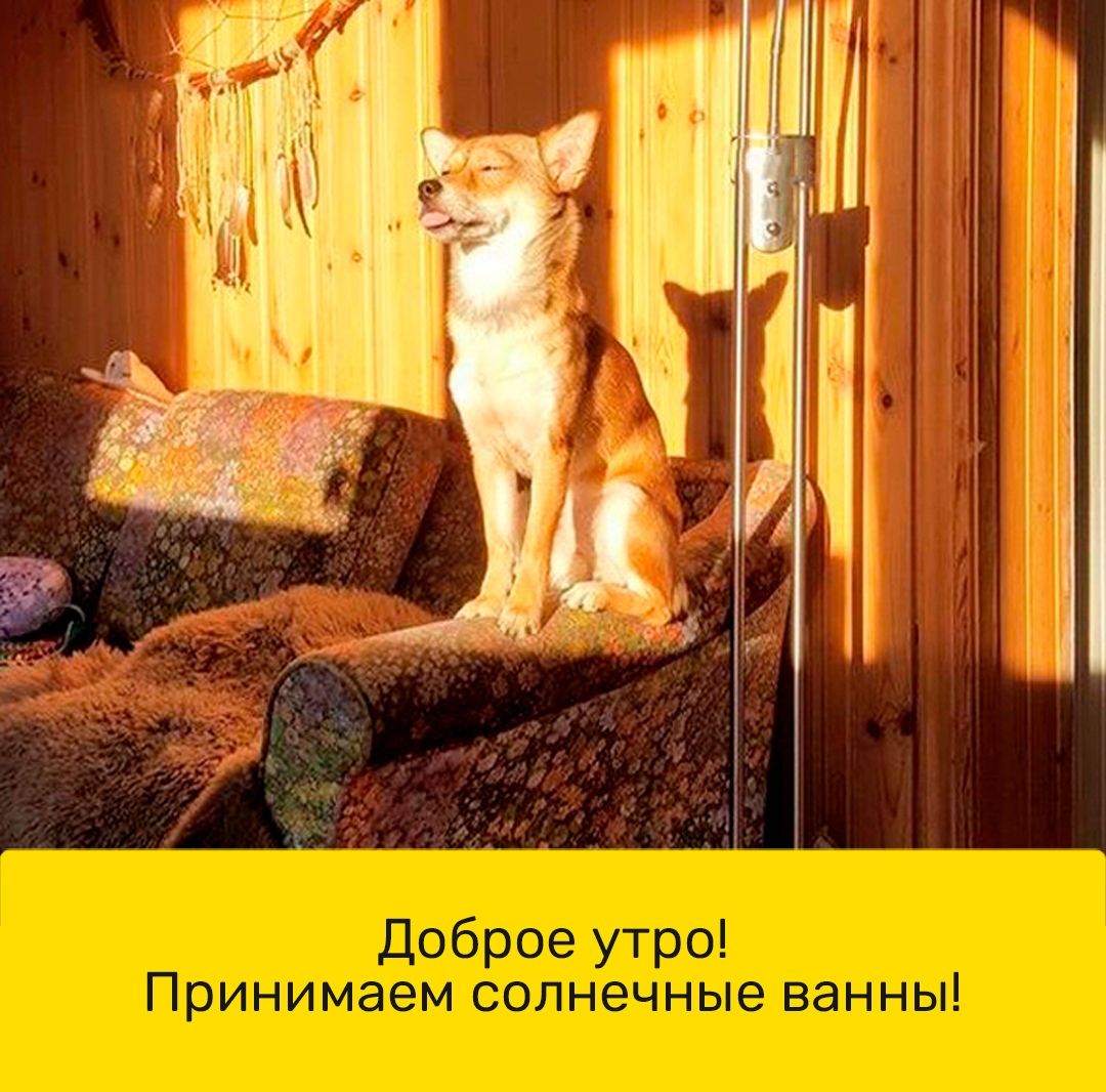 111 1119 131 11 111 119311