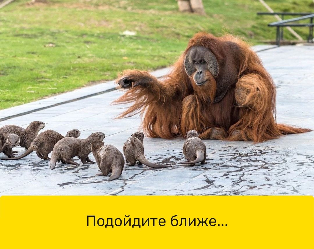 _ Подойдите ближе