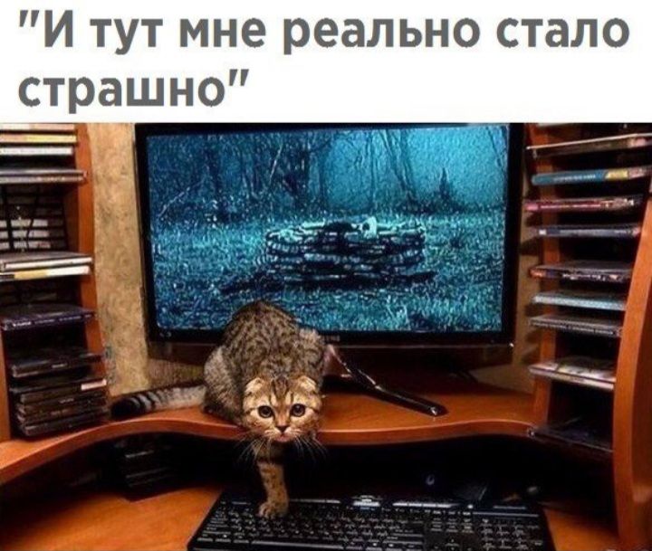 И тут мне реально стало страшно ___