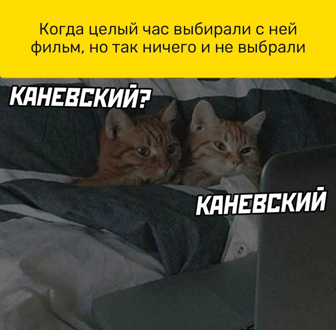 Когда целый час выбирали с ней фильм но так ничего и не выбрали кднввпкий кднввпкий