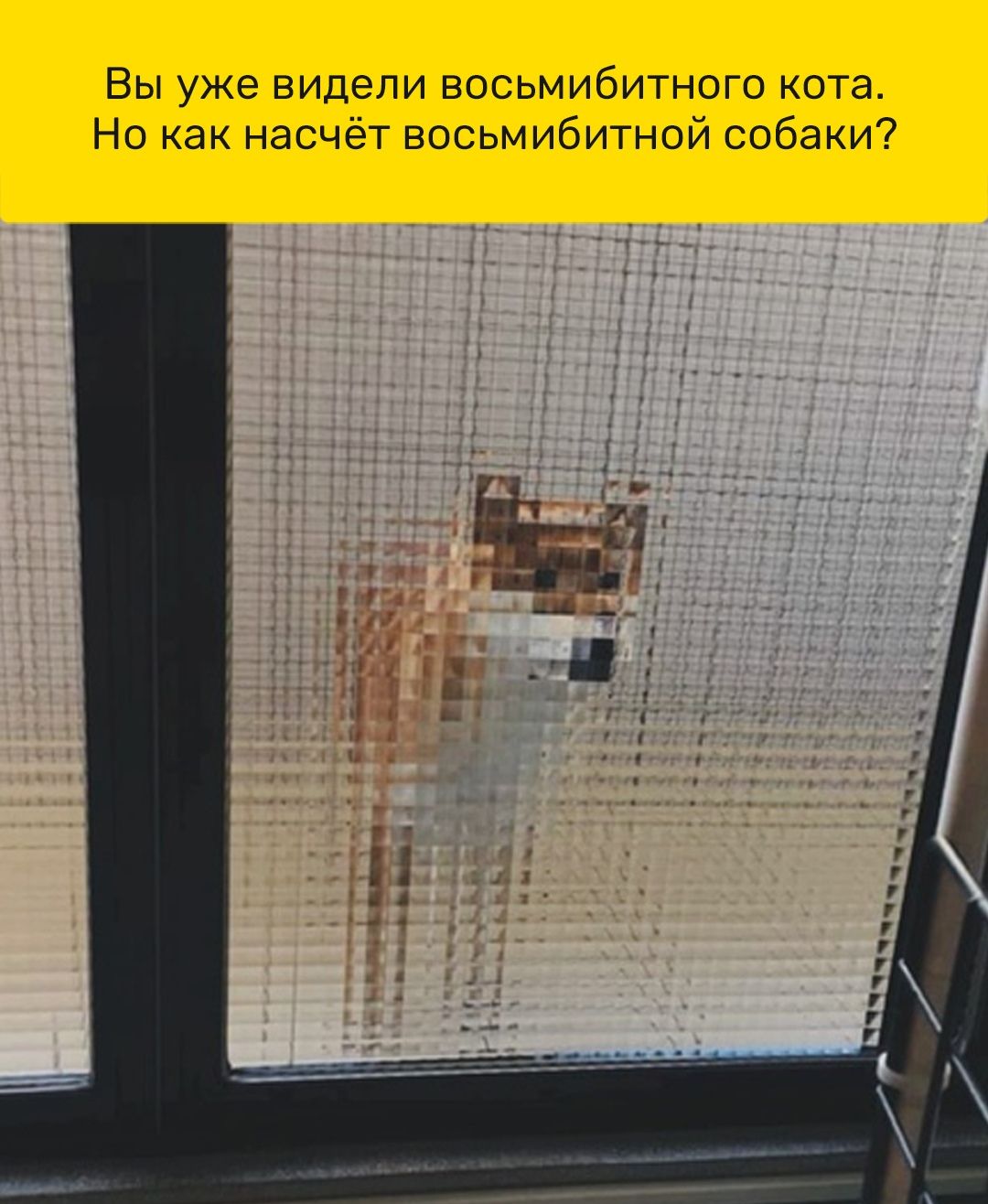 Вы уже видели восьмибитного кота й собаки Но как насчёт восьмибитно 9 щ